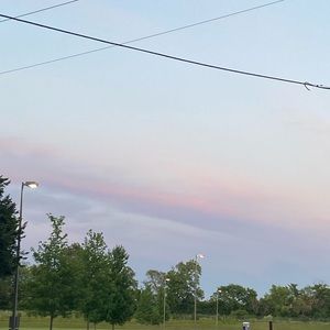 Meet your Posher, Sophie